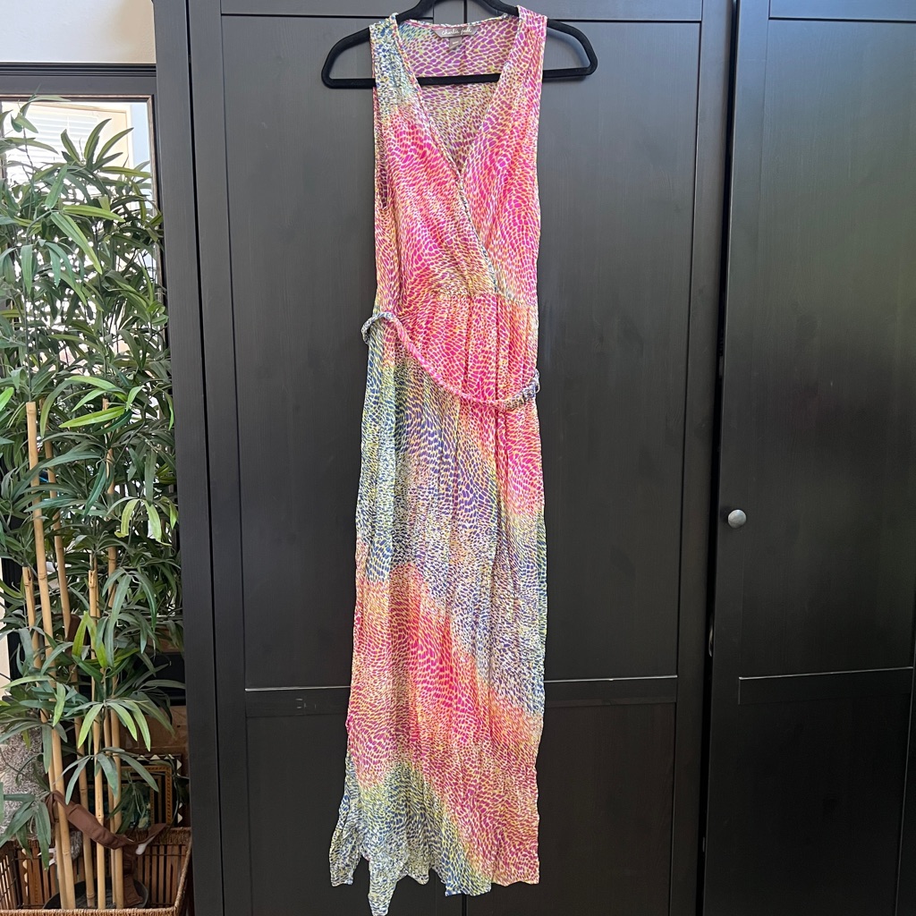 Anthropologie Charlie Jade Silk Shimmer Maxi Dress Size Medium